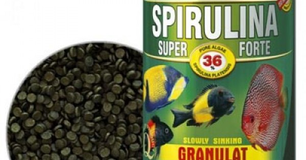 Tropical Spirulina Super Forte Granulat