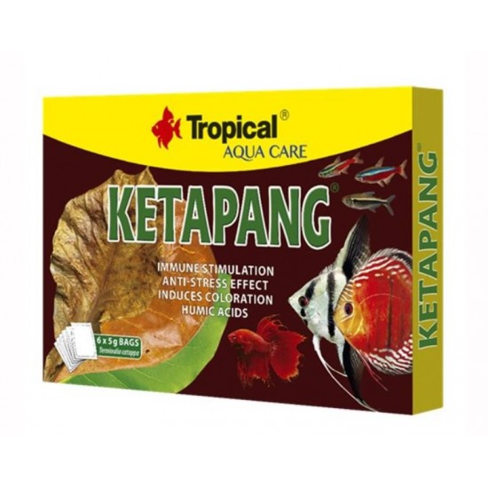 Tropical Ketapang Tozu 5gr 6lı Paket